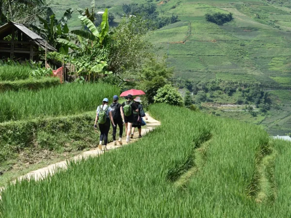 1 Day Easy Trekking in Sapa through Muong Hoa Valley