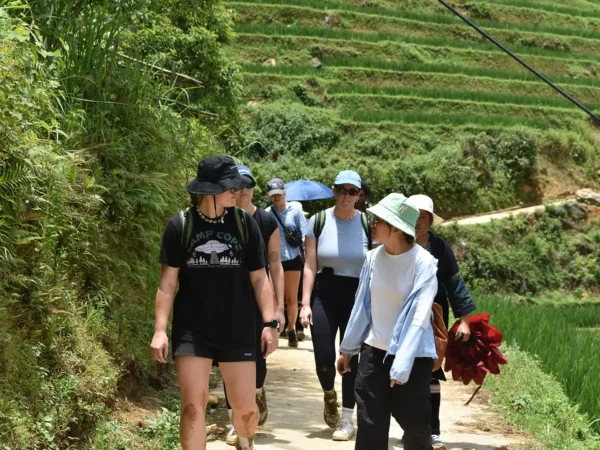 1 Day Easy Trekking in Sapa through Muong Hoa Valley
