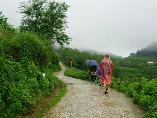 Alternative view of 1-Day Sapa Trek to Suoi Ho - Ma Tra - Ta Phin Village