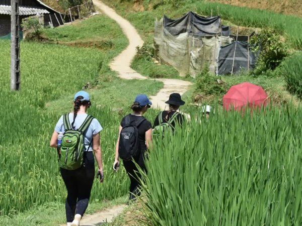 2 Days 1 Night Sapa Trekking & Homestay in Village