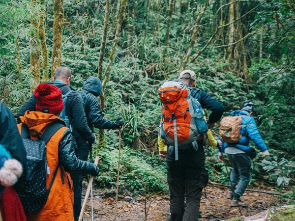 Hike Fansipan Mountain in 2 Days 1 Night