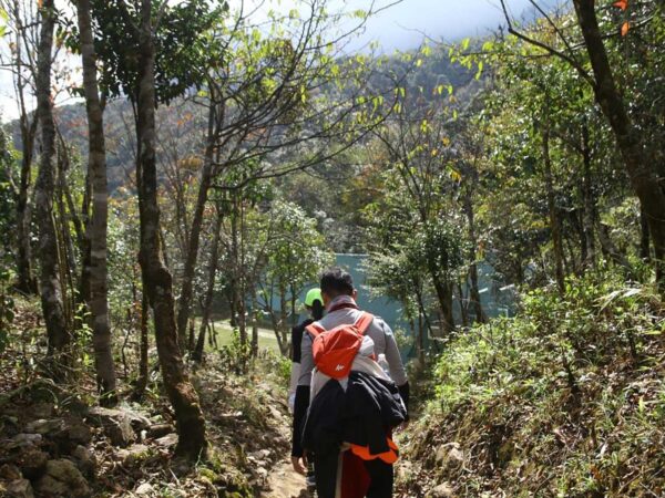 Hike Fansipan Mountain in 2 Days 1 Night
