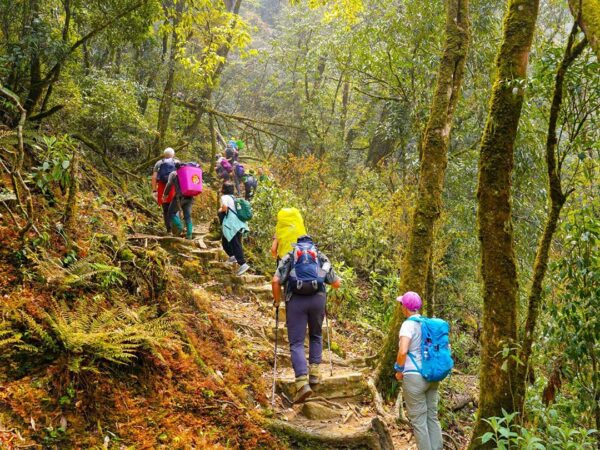 Hike Fansipan Mountain in 2 Days 1 Night