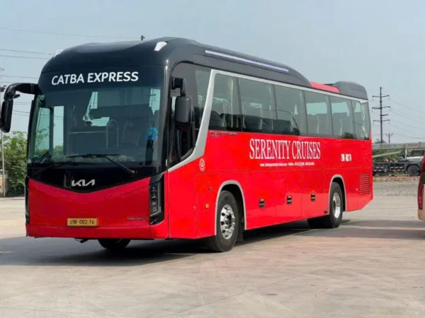 Catba Express 34 Seats: Smooth Ride from Ha Noi to Cat Ba