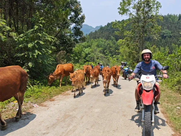 3D3N Ha Giang Loop Tour: Check-in Points, Scenic Rides, & Local Culture by Ha Giang Epic Tour