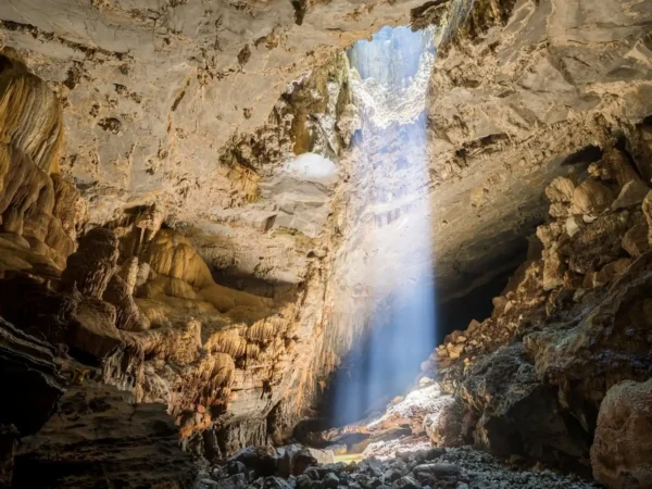 Paradise Cave Adventure – 1 Day Exploration in Phong Nha