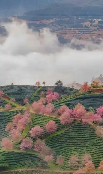 Sapa Nomad | Things to do in Sapa Vietnam