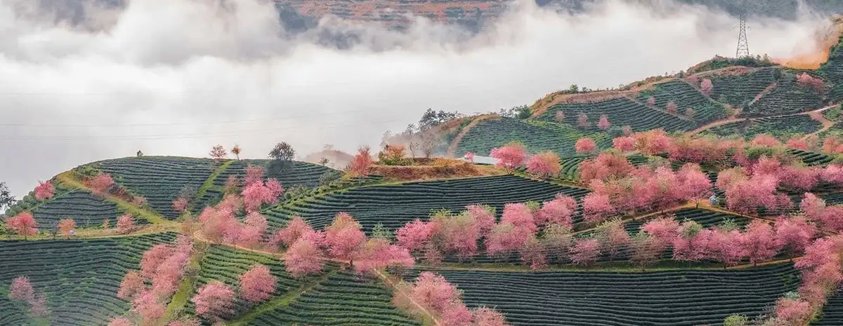 Sapa Nomad | Things to do in Sapa Vietnam